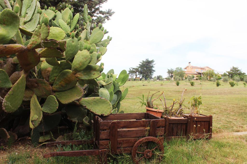 Guest House Villa Di Judighes Cerveteri