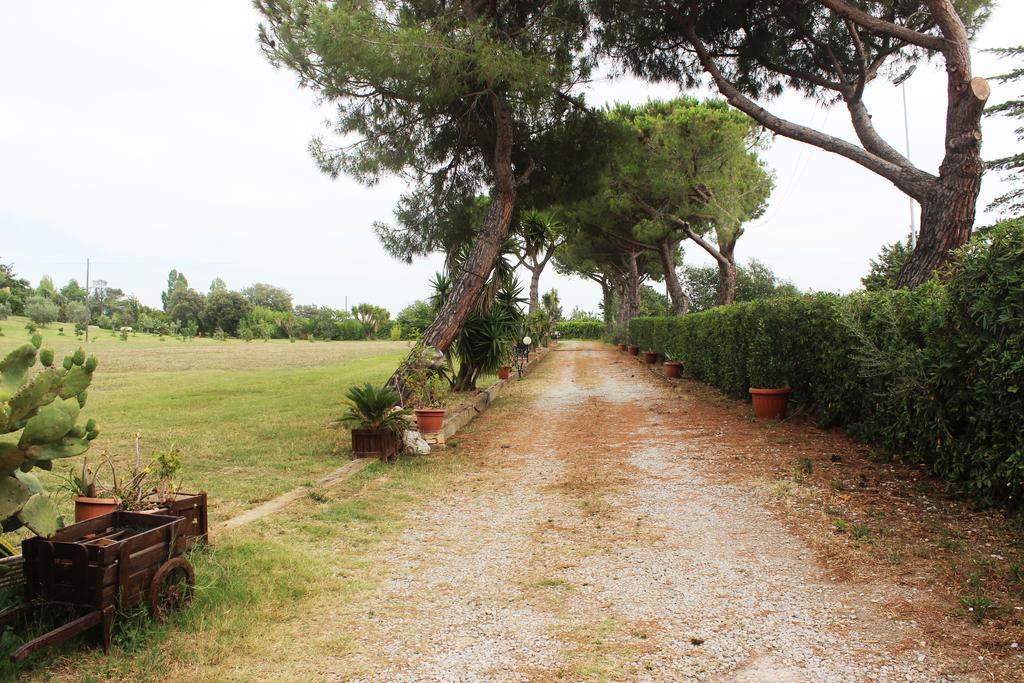 Guest House Villa Di Judighes Cerveteri